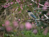 镜头｜清明时节雨纷纷