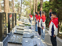 镜头｜清明时节雨纷纷
