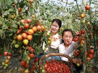 镜头｜为乡村振兴注入新动能