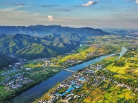 镜头｜清明时节雨纷纷