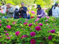 镜头｜雨生百谷 万物逢时