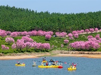 镜头｜清明时节雨纷纷