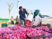 镜头｜小满知时节
