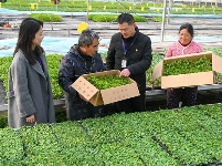 镜头丨青春在奋斗中闪光