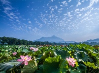 镜头 | 大美六月