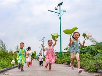 镜头 | 大美六月