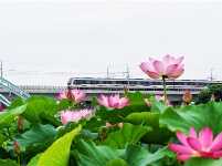 镜头 | 大美六月