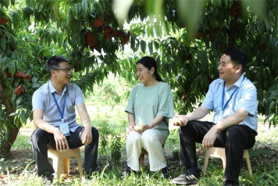 镜头｜筑牢“三资”监管防线