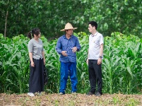 镜头 | 实战实训锻造过硬队伍
