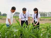 镜头 | 监督护航高标准农田建设