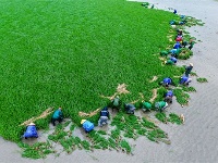 镜头 | 大暑至 夏正浓