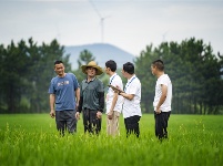 镜头 | 监督护航高标准农田建设