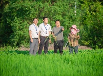 镜头 | 监督护航高标准农田建设