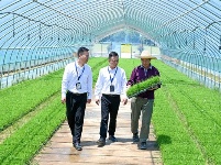 镜头 | 监督护航高标准农田建设