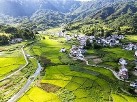 镜头｜大美八月