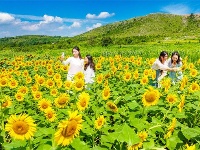 镜头 | 一夜新凉是立秋