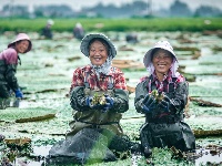 镜头 | 暑气收 秋意生