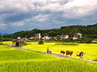 镜头｜大美八月