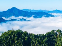 镜头 | 暑气收 秋意生