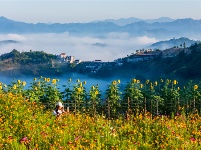 镜头｜一朝白露至 满目清秋来