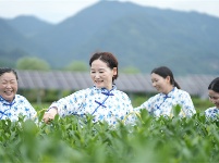镜头｜秋向此时分