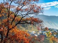 镜头｜秋向此时分