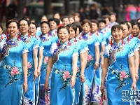 [亳州]佳丽老街秀旗袍 传统服饰展魅力