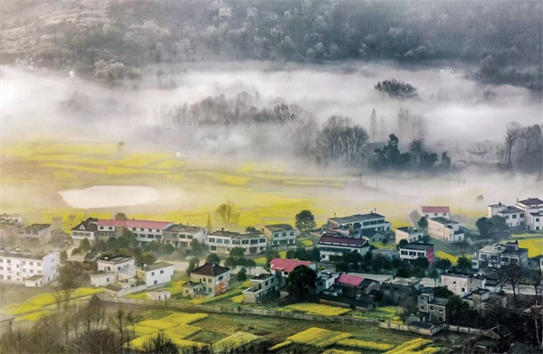 镜头｜大美三月