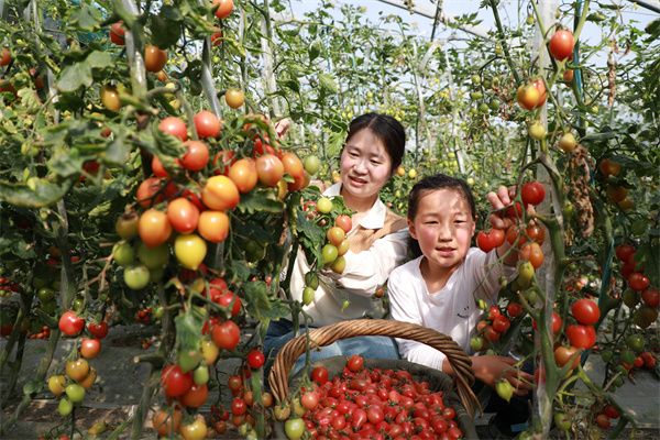 镜头｜为乡村振兴注入新动能