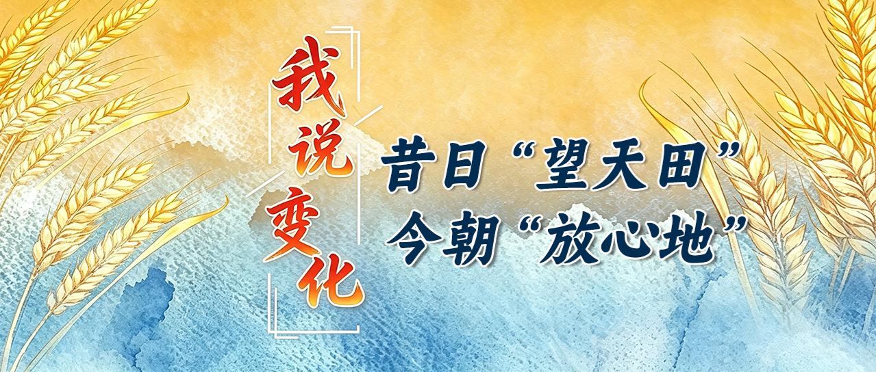 我说变化丨昔日“望天田”  今朝“放心地”