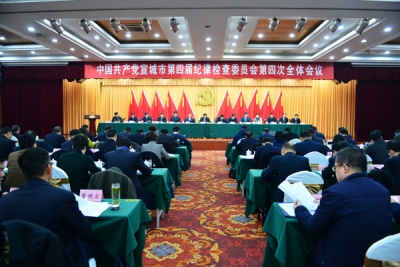 宣城：坚守“两个维护” 推进全面从严治党再出发