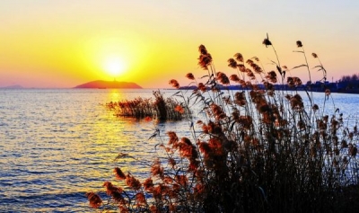 巢湖：正风反腐持续发力 2017年立案185件处分187人