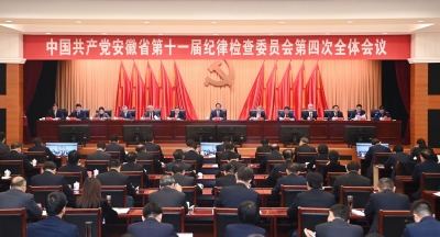 中国共产党安徽省第十一届纪律检查委员会第四次全体会议决议