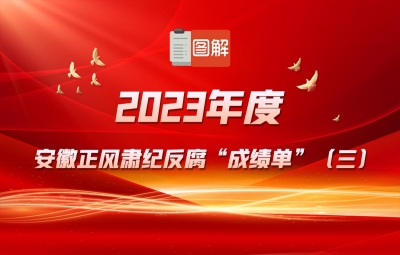 2023年度安徽正风肃纪反腐“成绩单”（三）
