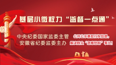 安徽基层小微权力“监督一点通”平台