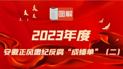 2023年度安徽正风肃纪反腐“成绩单”（二）