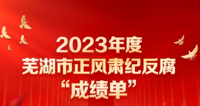 图解丨2023年度芜湖市正风肃纪反腐成绩单