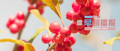 早间播报【2024年2月5日】