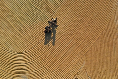 【中国纪检监察报】安徽加强粮食安全专项监督压实主体责任 ：“粮食人的精气神上来了”