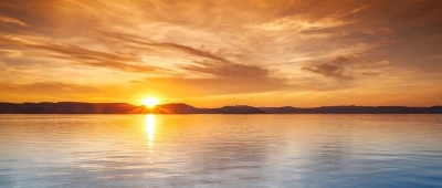 把党的伟大自我革命进行到底