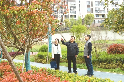 【中国纪检监察报】安徽系统施治扎牢绿化工程领域制度篱笆 全链条大扫除治病灶