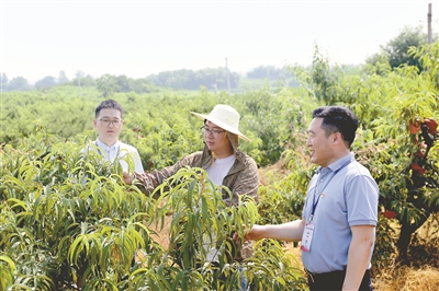 【中国纪检监察报】安徽六安搭建集体“三资”监管云平台 关口前移排查风险隐患