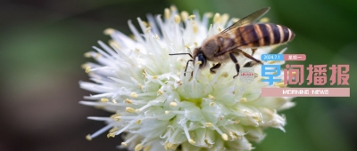 早间播报【2024年7月1日】