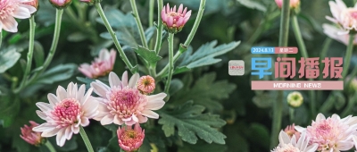 早间播报【2024年8月13日】