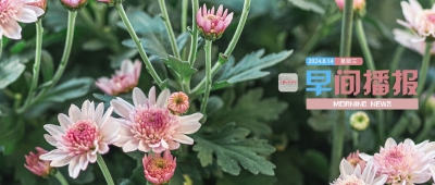 早间播报【2024年8月14日】