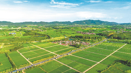 【安徽日报】执纪监督 推动“粮田”变“良田”