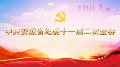 省纪委十一届二次全会专题