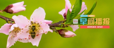 早间播报【2025年5月29日】