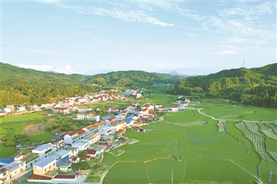 【中国纪检监察报】监督助力建好管好用好高标准农田 守好良田护粮仓