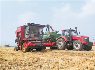 【中国纪检监察报】如何多种粮种好粮、端牢中国饭碗？记者探访夏收一线 麦收好“丰”景